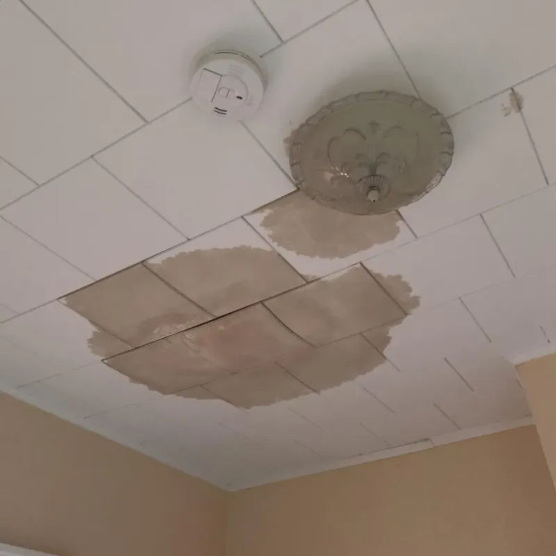 Ceiling Water Damage Repair in Colonie, NY
