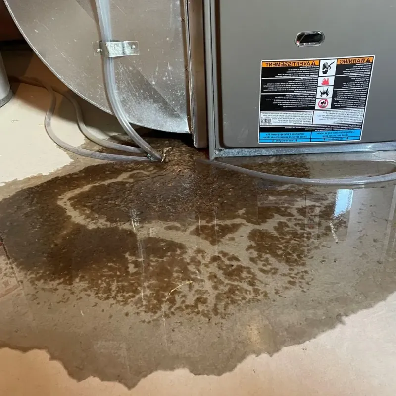 Pipe Burst and Leak Restoration in Colonie, NY